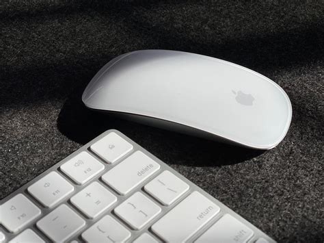 Is the magic mouse woryh it